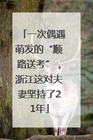 一次偶遇萌发的“顺路送考”，浙江这对夫妻坚持了21年