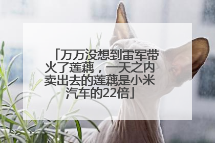 万万没想到雷军带火了莲藕，一天之内卖出去的莲藕是小米汽车的22倍