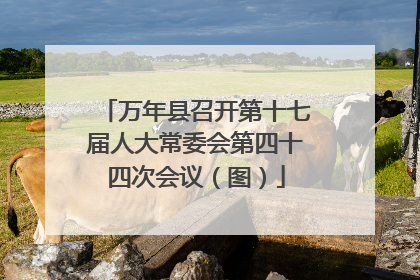 万年县召开第十七届人大常委会第四十四次会议（图）