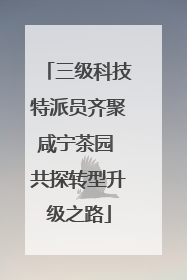三级科技特派员齐聚咸宁茶园 共探转型升级之路