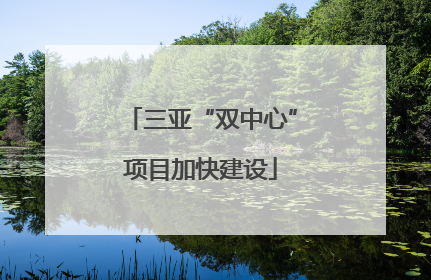 三亚“双中心”项目加快建设