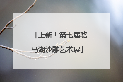 上新！第七届骆马湖沙雕艺术展