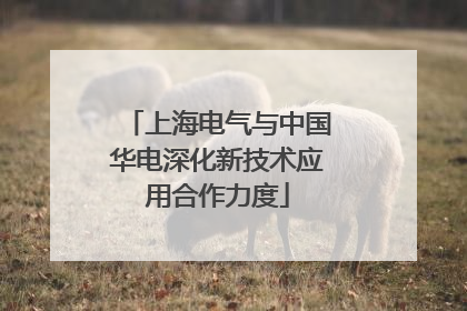 上海电气与中国华电深化新技术应用合作力度