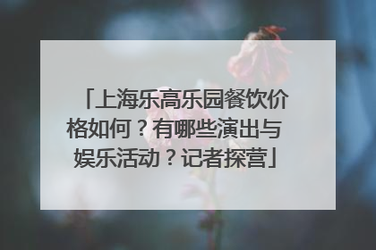 上海乐高乐园餐饮价格如何？有哪些演出与娱乐活动？记者探营