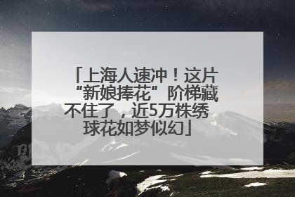 上海人速冲！这片“新娘捧花”阶梯藏不住了，近5万株绣球花如梦似幻