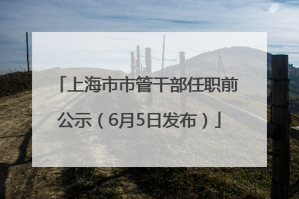 上海市市管干部任职前公示（6月5日发布）