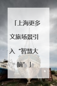 上海更多文旅场景引入“智慧大脑”