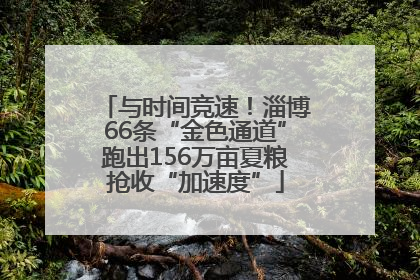 与时间竞速！淄博66条“金色通道”跑出156万亩夏粮抢收“加速度”