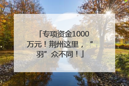 专项资金1000万元！荆州这里，“羽”众不同！