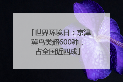 世界环境日：京津冀鸟类超600种，占全国近四成