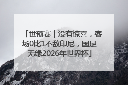 世预赛｜没有惊喜，客场0比1不敌印尼，国足无缘2026年世界杯