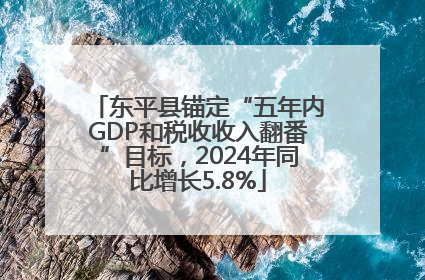 东平县锚定“五年内GDP和税收收入翻番”目标，2024年同比增长5.8%