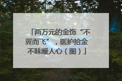两万元的金饰“不翼而飞”，医护拾金不昧暖人心（图）