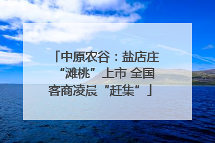 中原农谷：盐店庄“滩桃”上市 全国客商凌晨“赶集”