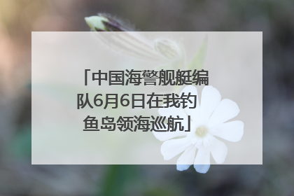 中国海警舰艇编队6月6日在我钓鱼岛领海巡航