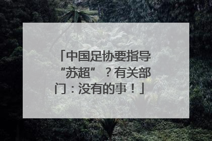 中国足协要指导“苏超”？有关部门：没有的事！