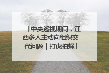 中央巡视期间，江西多人主动向组织交代问题｜打虎拍蝇