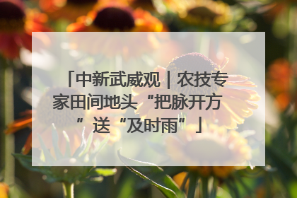 中新武威观｜农技专家田间地头“把脉开方”送“及时雨”