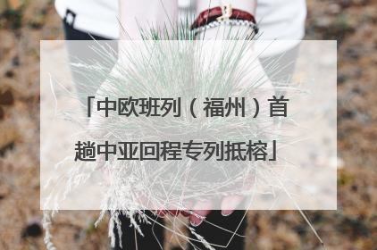 中欧班列（福州）首趟中亚回程专列抵榕