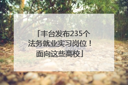 丰台发布235个法务就业实习岗位！面向这些高校