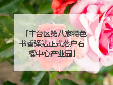丰台区第八家特色书香驿站正式落户石榴中心产业园