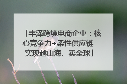丰泽跨境电商企业：核心竞争力+柔性供应链 实现越山海、卖全球