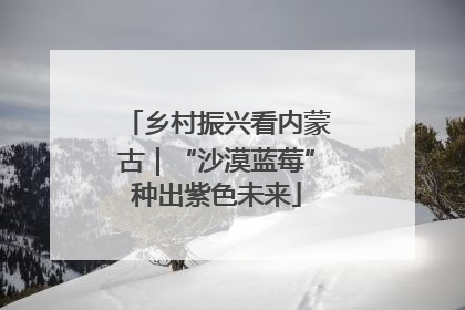 乡村振兴看内蒙古｜“沙漠蓝莓”种出紫色未来