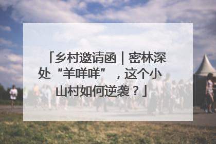 乡村邀请函｜密林深处“羊咩咩”，这个小山村如何逆袭？