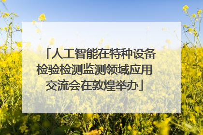 人工智能在特种设备检验检测监测领域应用交流会在敦煌举办