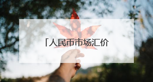 人民币市场汇价（5月28日）