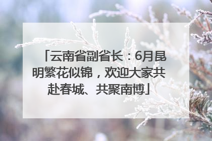 云南省副省长：6月昆明繁花似锦，欢迎大家共赴春城、共聚南博