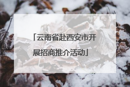 云南省赴西安市开展招商推介活动