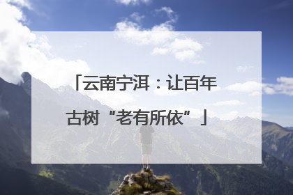 云南宁洱：让百年古树“老有所依”