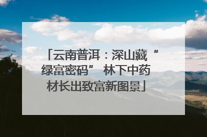 云南普洱：深山藏“绿富密码” 林下中药材长出致富新图景