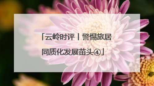 云岭时评丨警惕旅居同质化发展苗头④
