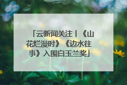 云新闻关注丨《山花烂漫时》《边水往事》入围白玉兰奖