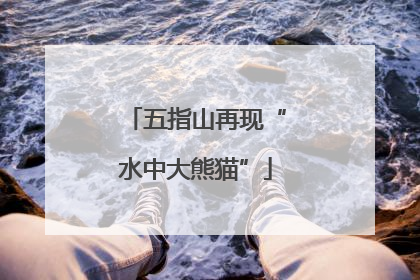 五指山再现“水中大熊猫”