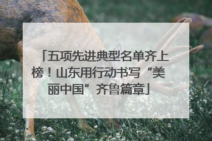 五项先进典型名单齐上榜！山东用行动书写“美丽中国”齐鲁篇章