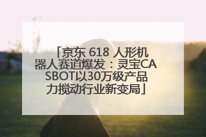 京东 618 人形机器人赛道爆发：灵宝CASBOT以30万级产品力搅动行业新变局