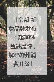 亳都·新象品牌发布：超30%首进品牌，解码郑州消费升级