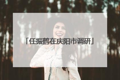 任振鹤在庆阳市调研