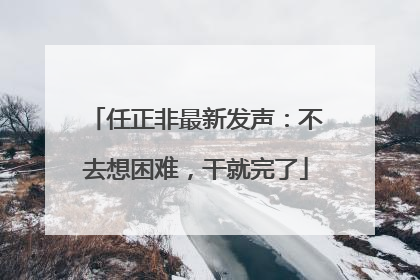 任正非最新发声：不去想困难，干就完了