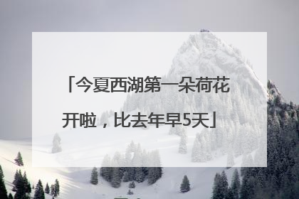今夏西湖第一朵荷花开啦，比去年早5天