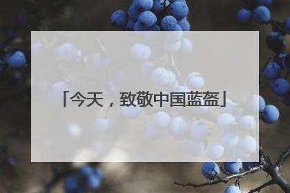 今天，致敬中国蓝盔