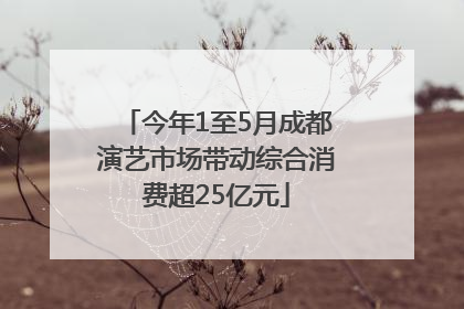 今年1至5月成都演艺市场带动综合消费超25亿元