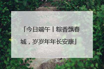 今日端午丨粽香飘春城，岁岁年年长安康