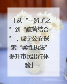 从“一罚了之”到“疏管结合”，咸宁公安探索“柔性执法”提升市民出行体验