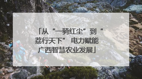 从“一骑红尘”到“荔行天下” 电力赋能广西智慧农业发展