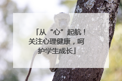 从“心”起航！关注心理健康，呵护学生成长