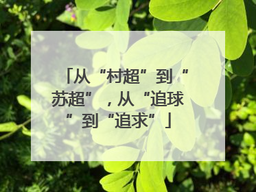 从“村超”到“苏超”，从“追球”到“追求”